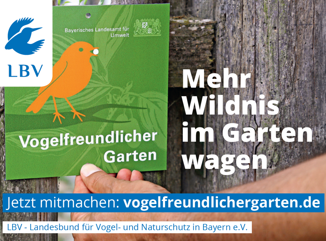 Vogelfreundlicher Garten