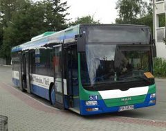 MVV Bus