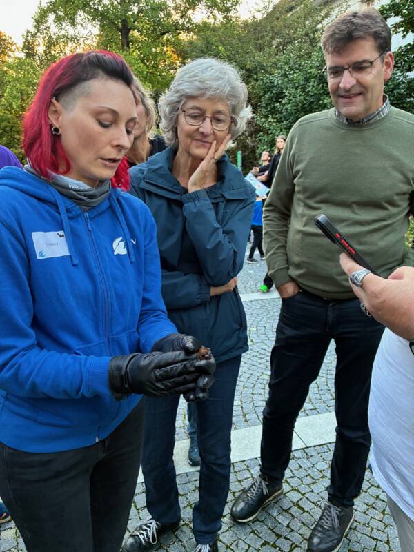 Fledermaus-Expertin Christina Schneider zeigt vorsichtig dem Leiter des Umweltamtes Dr. Jörg Degen und seiner Frau Heidrun einen ihrer kleinen Pfleglinge