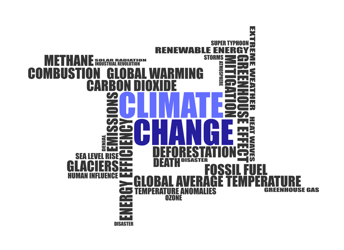Klimawandel Begriffe