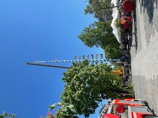Maibaum Planegg 2025