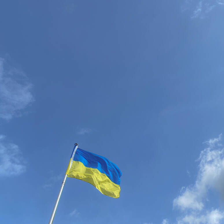 Ukrainische Flagge vor bewöltem Himmel