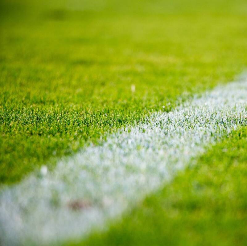 Fussballrasen 