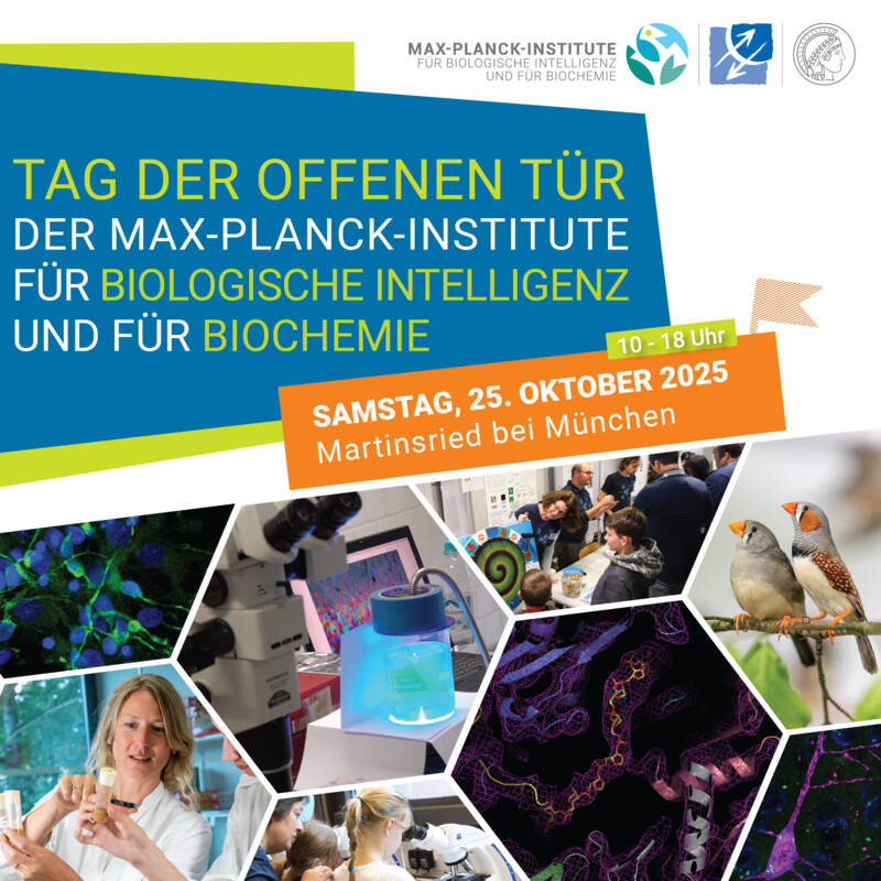 Max-Planck-Institut Tag der offenen Tür 2025